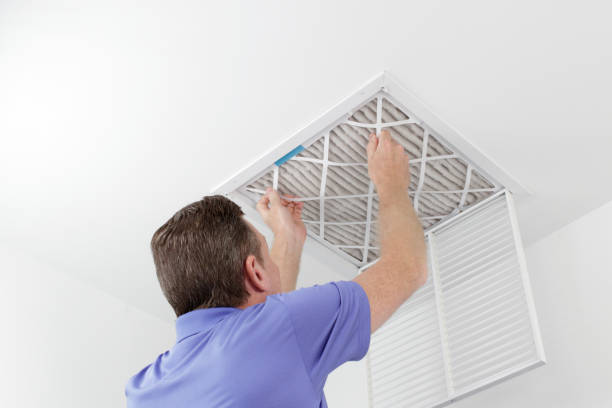 Best Home Air Vent Cleaning  in Tenino, WA